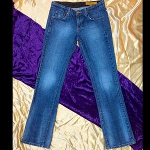 Seven jeans Gold Digger distressed bootcut size 31